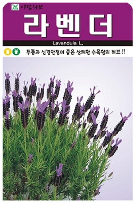 허브 라벤더 씨앗 (합 200립) 허브씨앗 종자, 2개