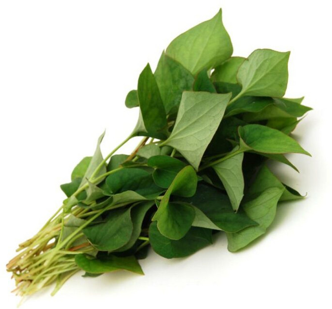 어성초 ( Diep Ca ) 100g/아시아 농장 송소희, 1개