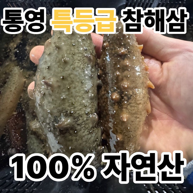 [선주직배송] 통영 특등급 자연산 횟감 참해삼, 1세트, 1kg