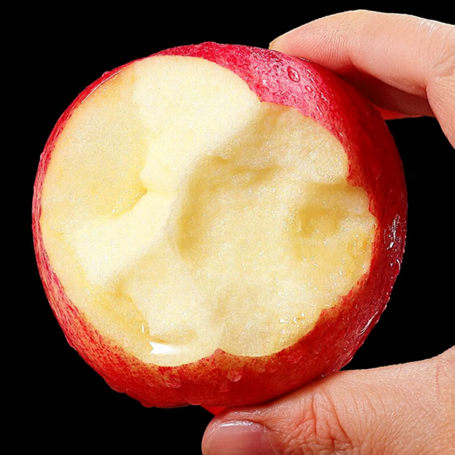 [가격삭제딜]바로결제 단골천명 정직보장 행복달콤 사과, 1박스, 2kg