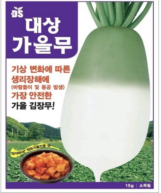 절여도 무르지 않는 아삭한 대상가을무 김장무 씨앗 1200립 바람들이 동공발생 저항성 종자, 1개