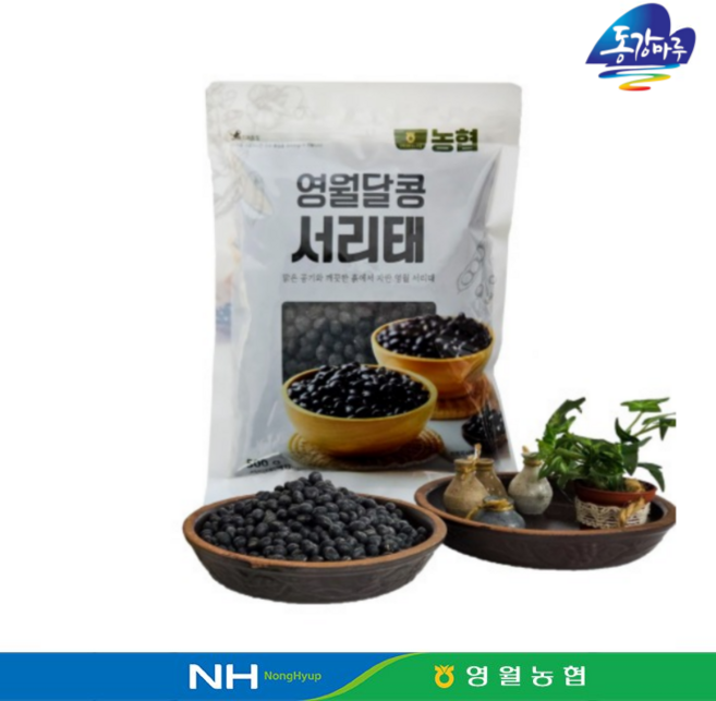 영월농협 동강마루 국산 영월달콩 서리태 500g x 1팩 영월산 콩 100%, 단품, 단품
