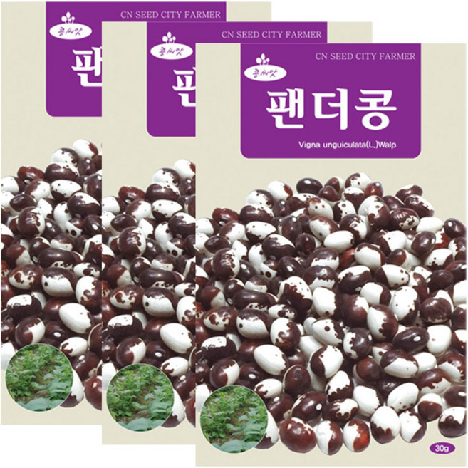 세인화분 팬더콩 30g, 3개