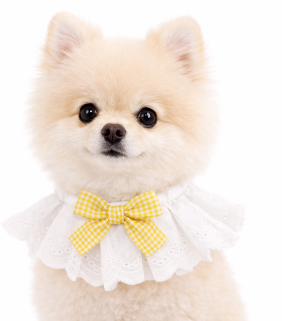렛츠독 고양이 강아지 하이디 공주 레이스 체크리본 스카프 턱받이, 1개, 옐로우체크