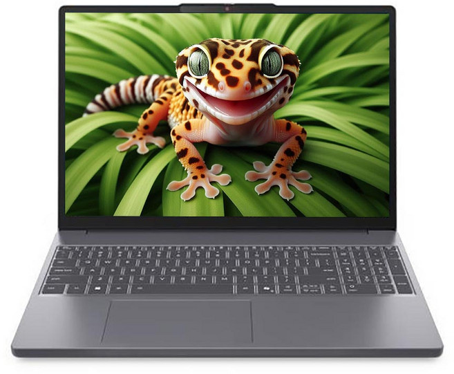 레노버 2025 아이디어패드 슬림 3 15AHP10 라이젠5 라이젠 8000 시리즈, Luna Grey, 1TB, 24GB, Free DOS, Slim3 15AHP10