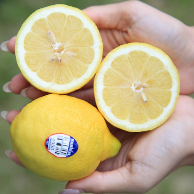 당일배송 수입산 레몬 생레몬 생과 중소과 래몬 lemon, 5개, 100g 내외