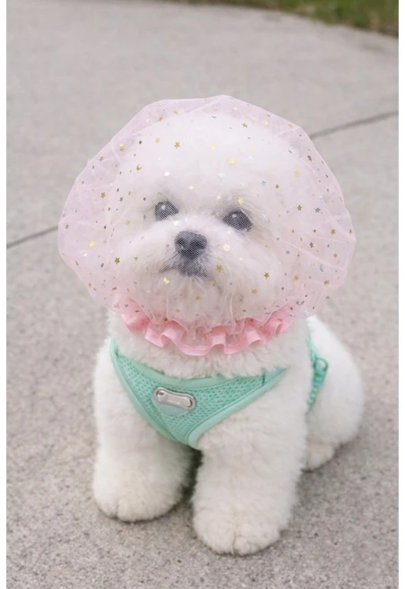 YELON 강아지 페이스커버 얼굴망 이식증 버그가드, 1개, 핑크 - 쿠팡