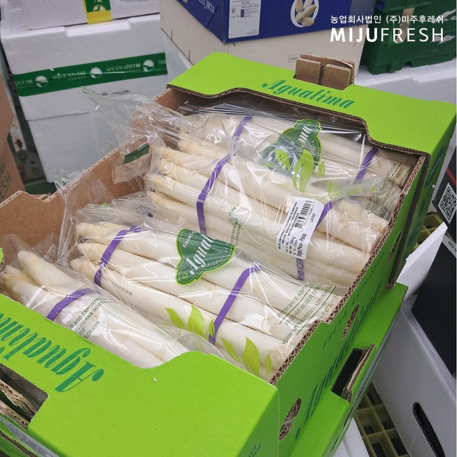 화이트 아스파라거스 생채소 수프구이용, 500g, 1박스