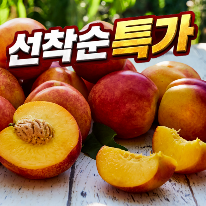 [100박스한정특가] 꿀과즙 제철과일 말랑이 황도복숭아, 1박스, 500g