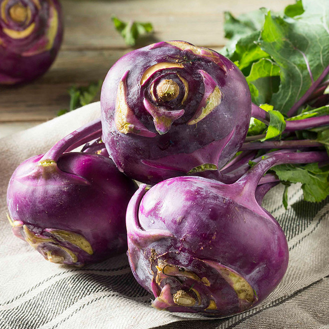 [한정특가] 당일수확 국내직송 특상품 콜라비, 1박스, 2kg