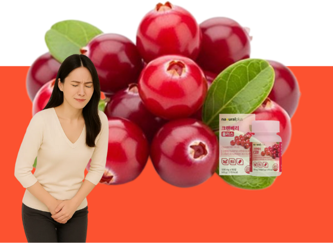 [고함량] 방광에좋은 요로 과민성 방광영양제 약3개월, 1개, 90정