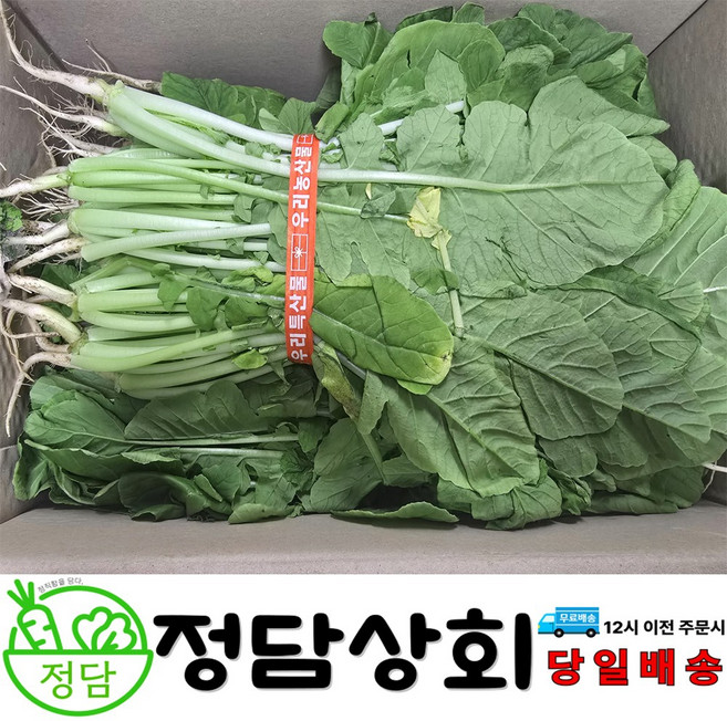 [ 정담상회 ] 국내산 열무 얼갈이열무 2kg(2단) 4kg(4단) 6kg(6단) 내외, 1박스