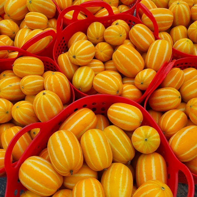 [가성비특가] 농가직송 가정용박스 꿀당도 참외, 1박스, 가정용 혼합과 5kg