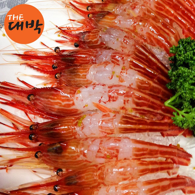 더대박 활 독도새우 꽃새우 닭새우 도화새우, 1개, 꽃새우 1kg