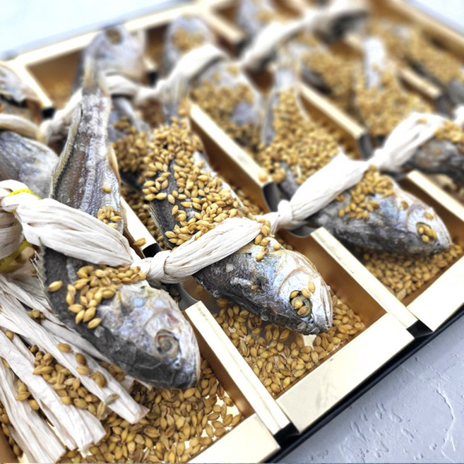 한정판매 국산 전통 보리굴비 10마리 선물세트, 전통 국산 보리굴비 10미 선물세트, 1개