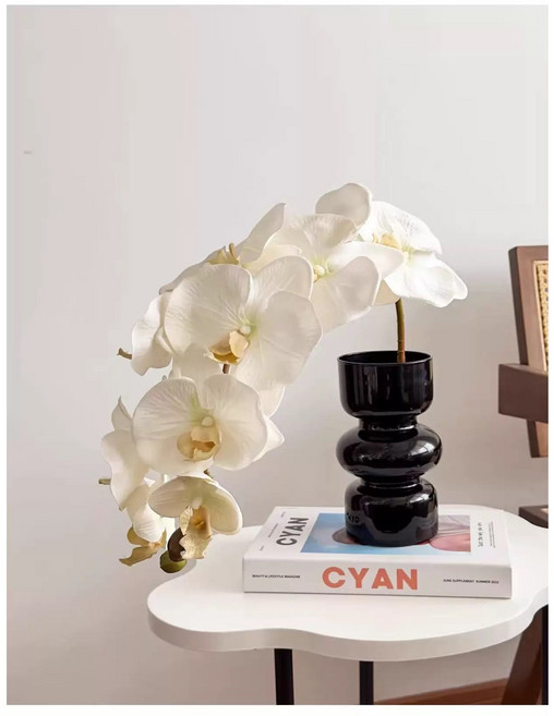 그래픽 무드 장식 호접란 리얼 포토샵 초출판 소품 리얼 북 소품, 1개, 화이트