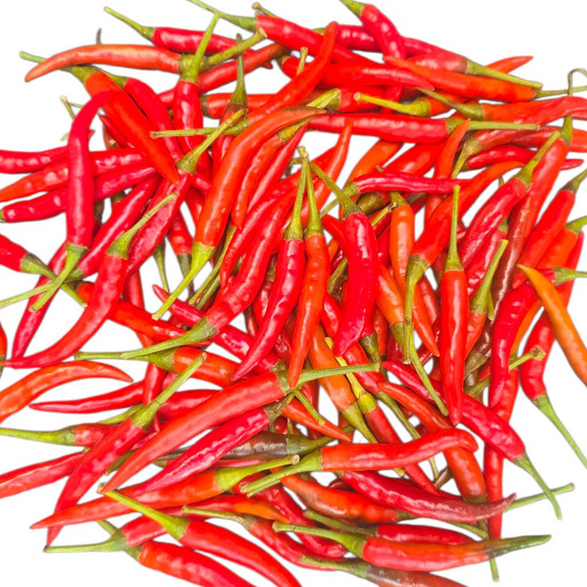 국내산 베트남고추 태국고추 빨간고추 쥐똥고추 프릭키누 동남아 식재료, 1개, 100g