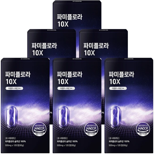 파미플로라 10X, 6개, 120정 - 쿠팡