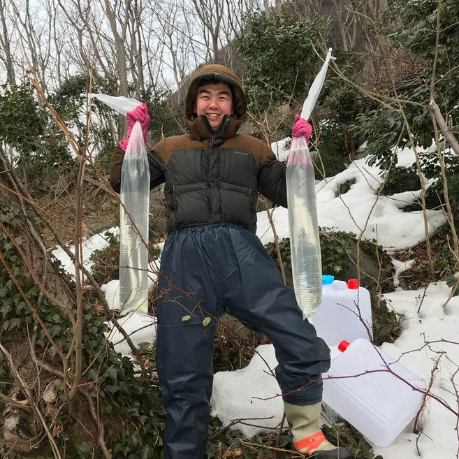 [세균검사완료] 해발900m 26년 울릉도 우산 고로쇠수액 1.5L 9병 12병, 12개