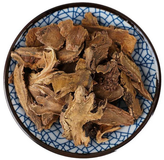 북경 동인당 양제근 소리쟁이, 1개, 500g