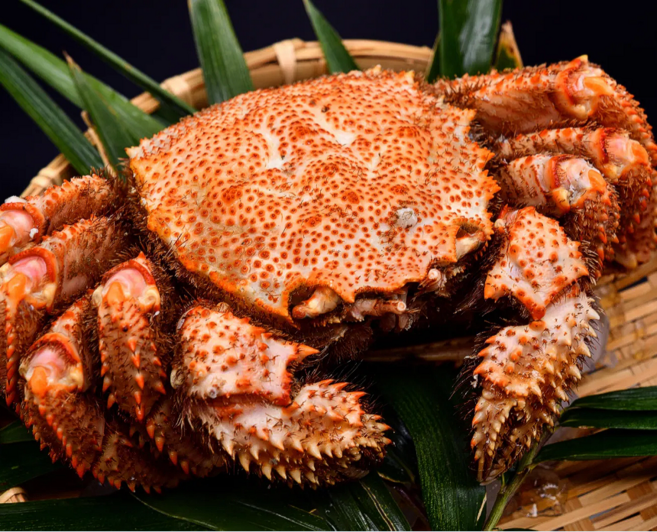 자숙 러시아 털게 1마리 1kg 1.2kg 1.5kg, 1개