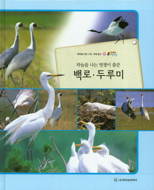 하늘을 나는 멋쟁이 춤꾼백로 두루미:테마별 자연 나라 생태 탐구, 한국슈타이너