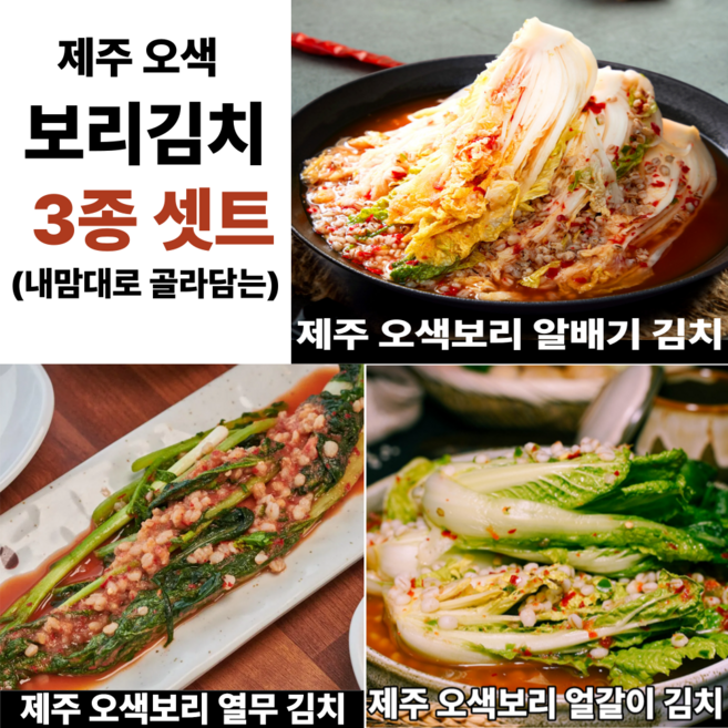열무 얼갈이 알배기3종 제주 보리김치, 1세트, 3kg