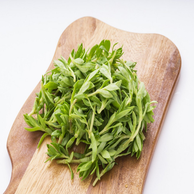 신선계절가 산지직송 돌나물, 1개, 4kg