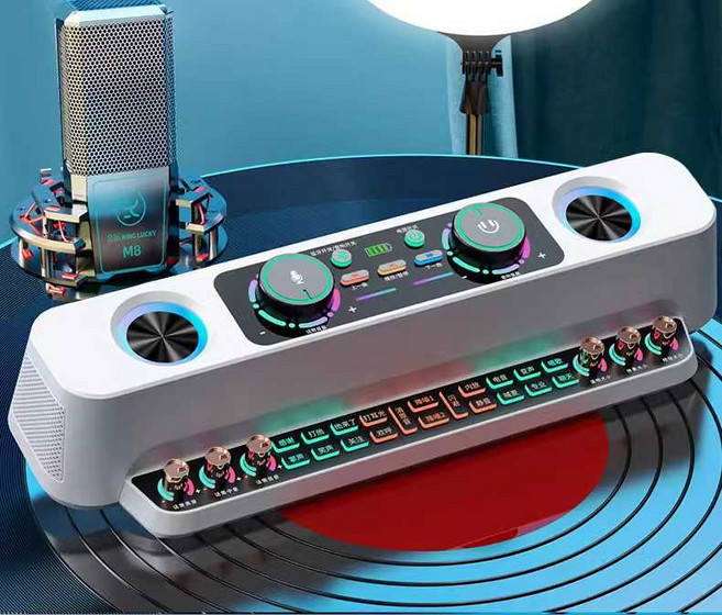 휴대용 노래방 블루트스 펜션 캠핑 이동식 스피커 핸드 강의용 차량, 상세페이지 참고, 3. 통합기+대형마이크