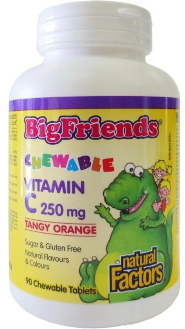 비타민c 단백질 자연 요인별 빅프렌즈 비타민 C 250mg 치아 연골 제 탱글탱글 오렌지 90정(90인분), 비타민c 단백질 자연 요인별 빅프렌즈 비타민 C 250, 1개 - 쿠팡