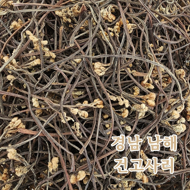 국산 경남 남해 고사리 건고사리 햇고사리 말린 고사리, 1개, 300g