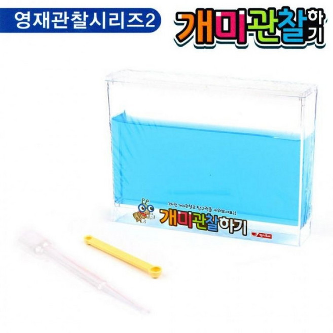 EAS 팬시로비 개미 관찰하기 대 블루 1036, 1개