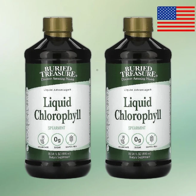 Buried Treasure 액상 엽록소 스피어민트 맛 480ml(16.23fl oz) Liquid Chlorophyll Spearmint 2통, 480ml 2병, 480ml - 쿠팡