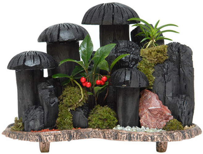 숯부작4호 (OW-0074)[꽃배달서비스/축하화분/개업화분], 1개