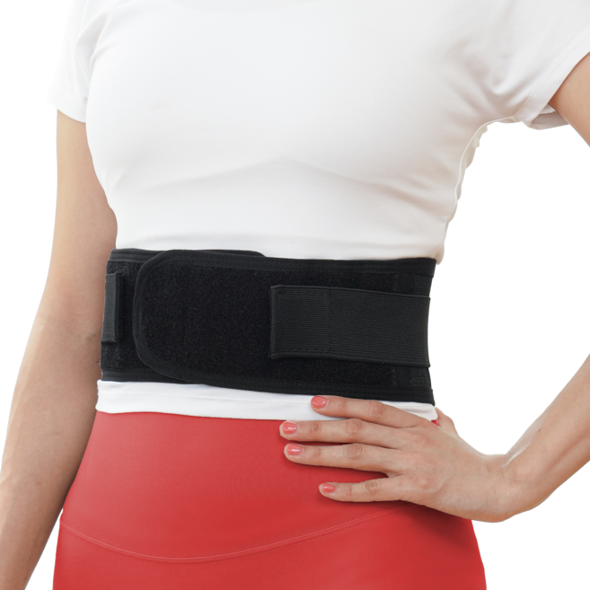 의료용허리보호대 올가드너 슬림허리부목, 1개