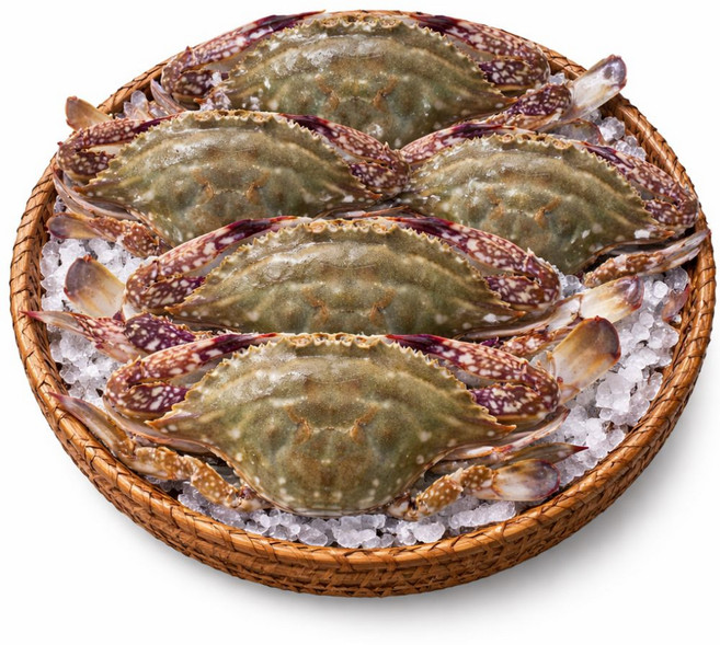 [선별특품] 국내산 생물 알배기 활 암꽃게 제철 봄 꽃게 디아머스, 1개, 3kg (12-18미)