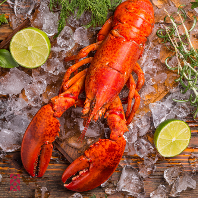 생생어시장 프리미엄 캐나다 자숙랍스터900-1000 빅사이즈 1마리 [원산지:캐나다], 1개, 800-1000