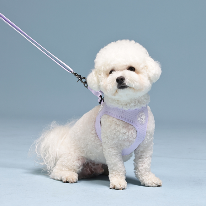 펫줄앤코 여름 냉감 쿨 하네스 노터치 버클 X형, 4.라벤더, 1개