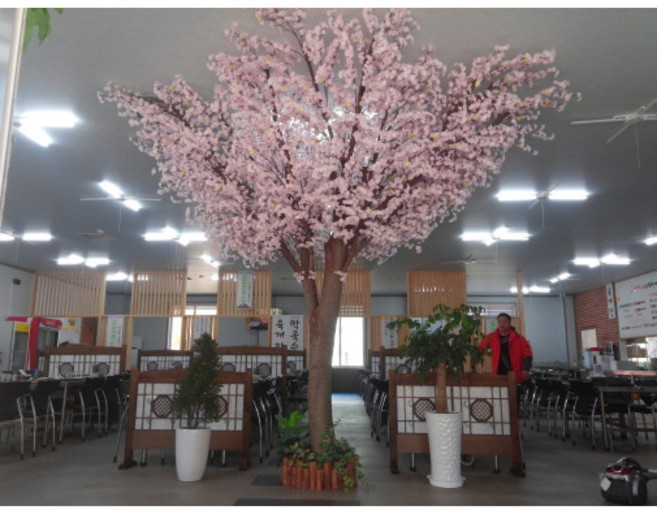 매장인테리어 출장시공 벚꽃나무 느티나무 자작나무 단풍나무, (지름:13~15cm)높이:300cm이하, 사방형 360도, 경남/전남, 1개