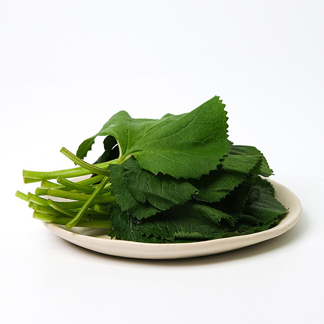 곰취나물 산나물 고기쌈채소 강원도 햇곰취 향긋한 쌈채소 500g