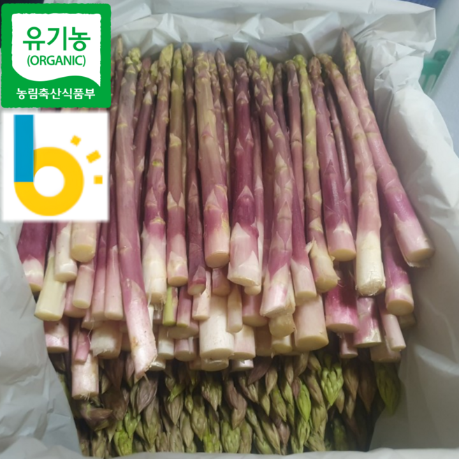 [국내유일 9brix] 유기농 못난이 국산 국내산 생 자색 아스파라거스 벌크 대용량, 1개, 1kg