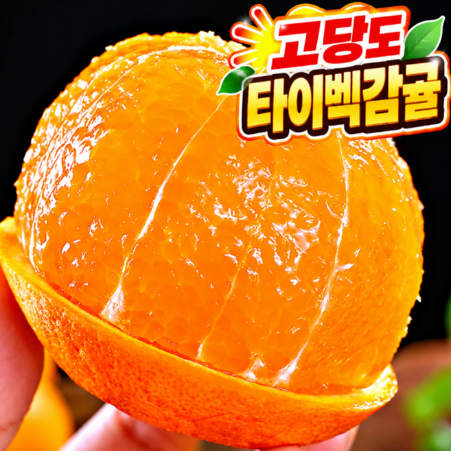 [마진포기] 초고당도 제주 타이벡 감귤, 1박스, 5kg 중대과