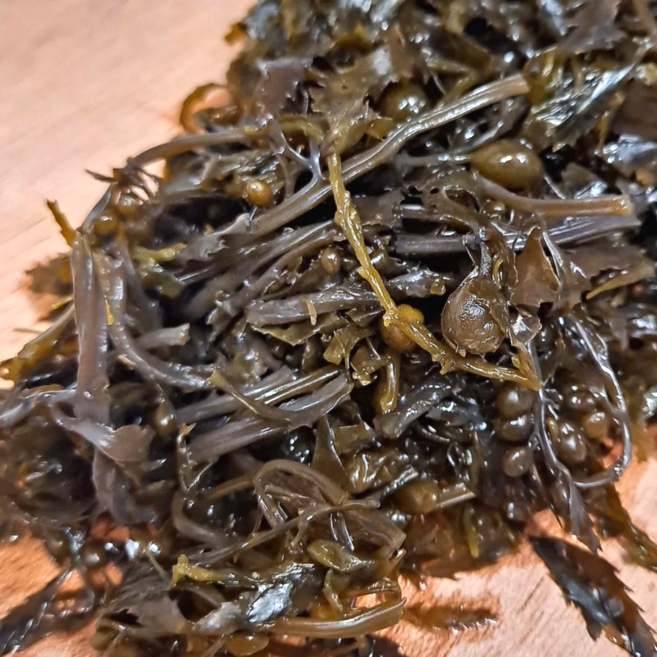 [백화점 납품] 생 모자반 마재기 국내산 모자반 무침 몸국 요리용 모재기 해초, 1개, 400g