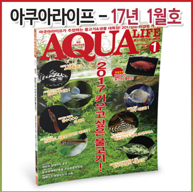 아쿠아라이프 2017년 01월호