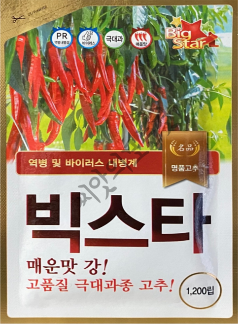 빅스타 고추씨앗 1200립 역병 및 바이러스 내병계 극대과종 PR역병내병성 농우바이오