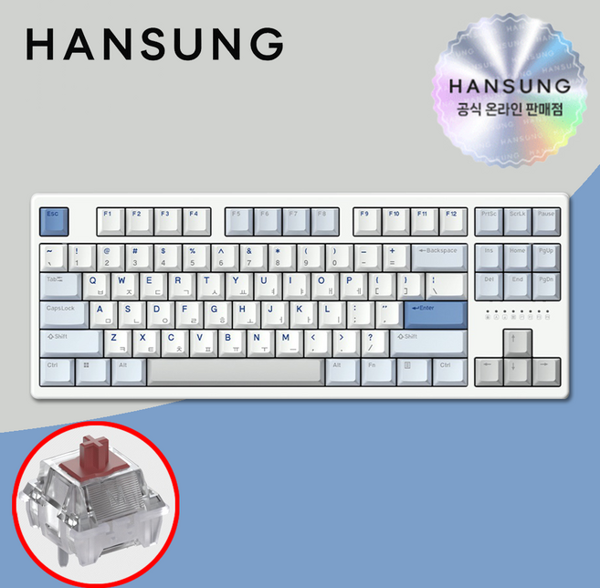 한성 TFG 매그니톡스 2XL 8K 래피드트리거 그레이레이니 자석축, 단품, 단품