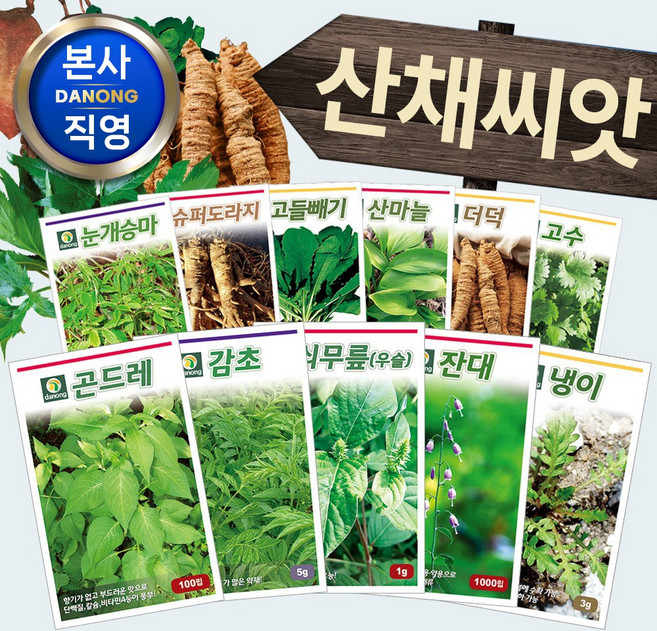 민속채소 약초 산채 토종 산나물 종자 씨앗모음전 - 냉이 취나물 곤드레 도라지 더덕, AT10=우엉씨앗300립!, 1개