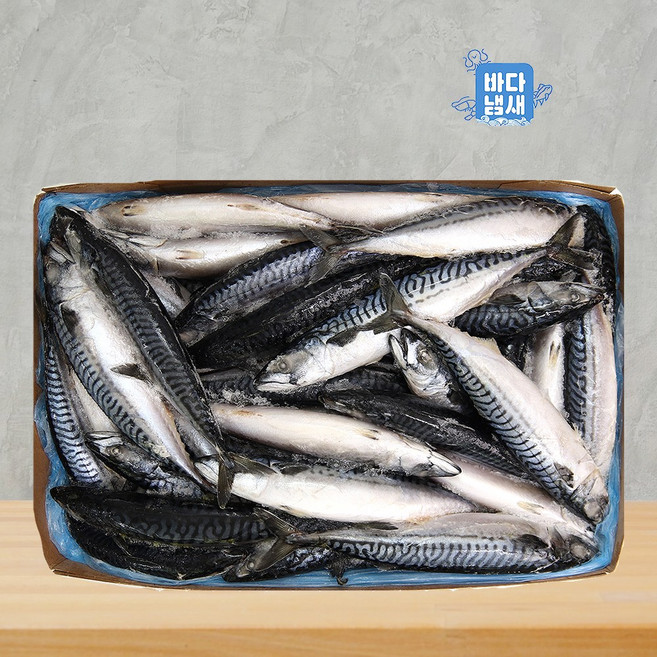 노르웨이 고등어 냉동 1박스 20kg (300/500) 고등어구이, 1개