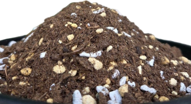 【欣榮園藝】喜酸植物專用土 藍莓土 培養土, 1個, 1公升