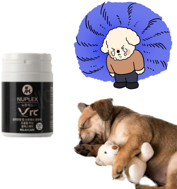 강아지 수면 진정제 신경안정 스트레스 치매약, 1개